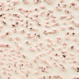 Speckled Pink 16-oz. Amaco Crawl Mid-Range Glaze